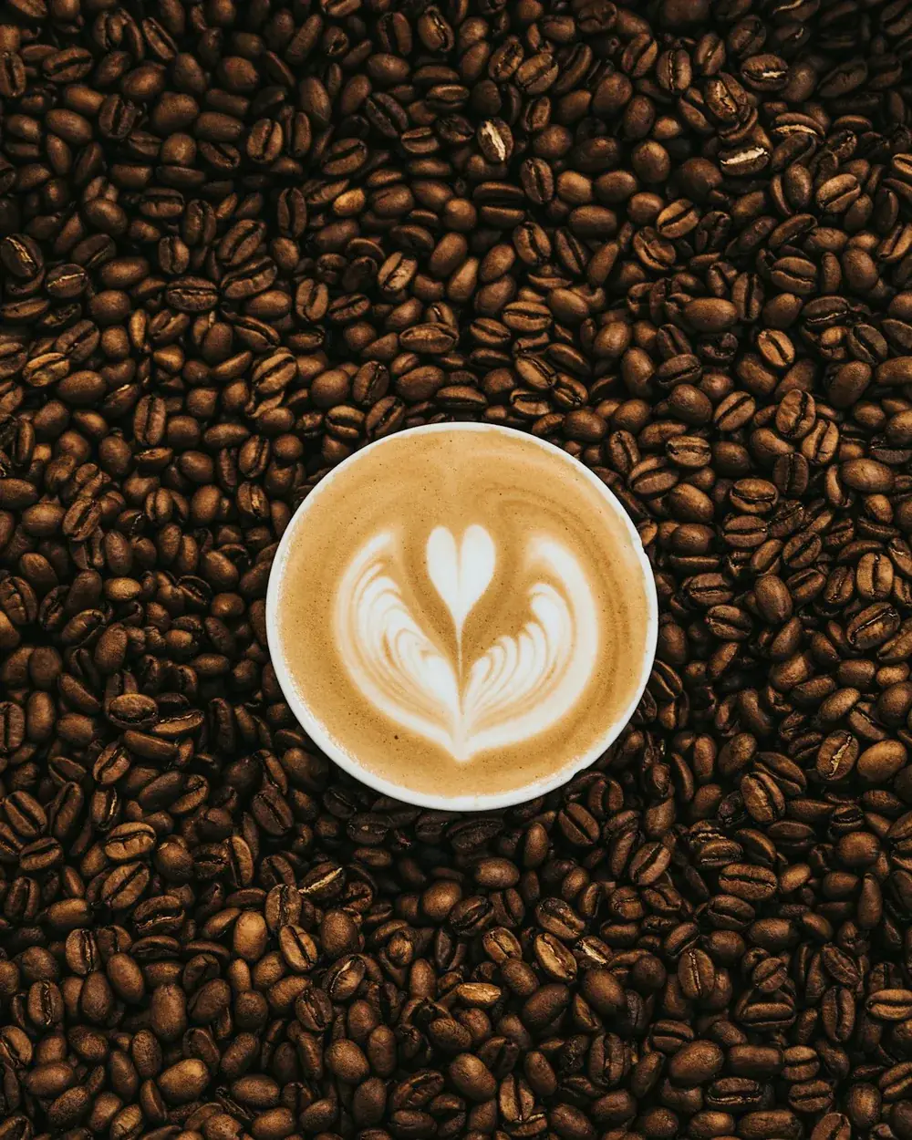 Mt. Apo coffee served in a bed of beans