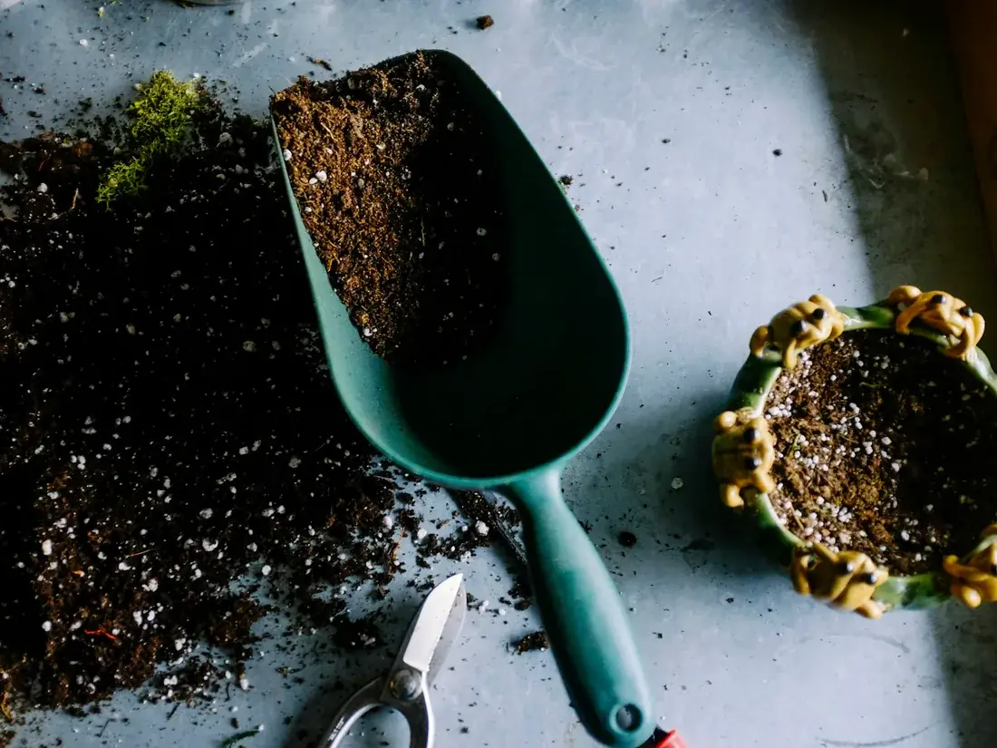 Hands planting a seedling in dark soil