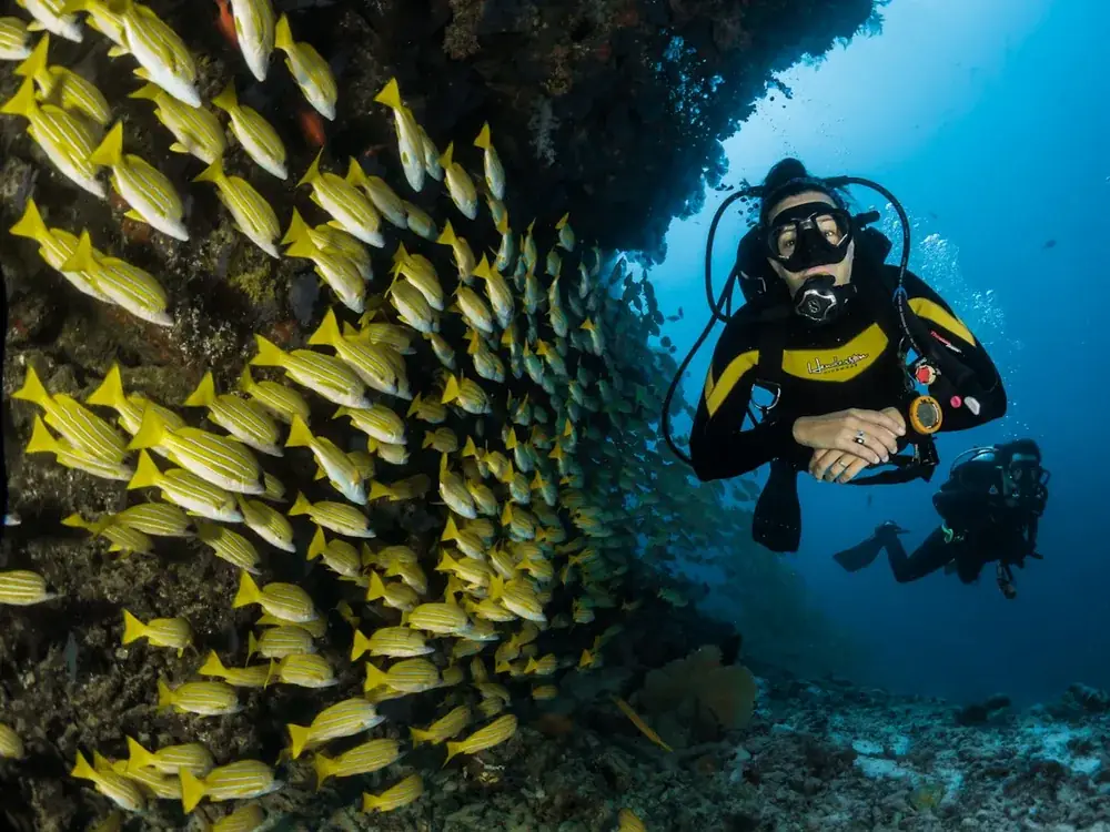 Snorkelling over the Moalboal reef